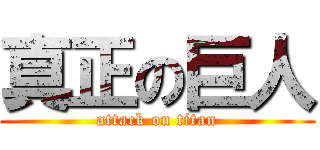 真正の巨人 (attack on titan)