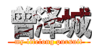 曾泽城 (my lifelong pursuit)
