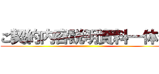 ご契約内容説明資料一体化 ()