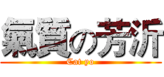 氣質の芳沂 (Cat yo)