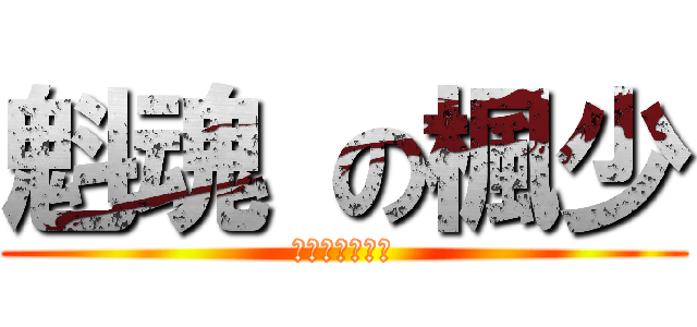 魁魂 の楓少 (ケベックソウル)