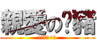 親愛の傻豬 (我好愛你<3)