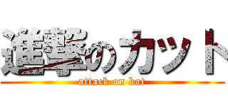 進撃のカット (attack on kat)