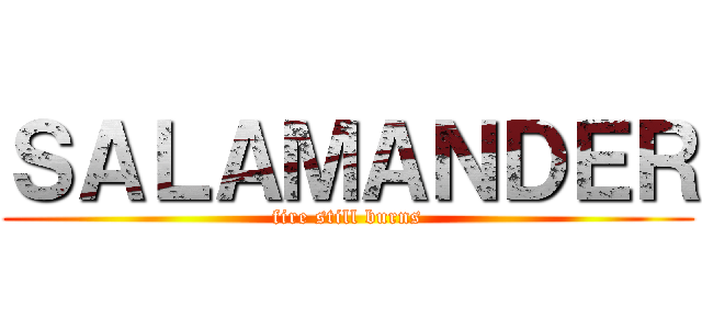 ＳＡＬＡＭＡＮＤＥＲ (fire still burns)