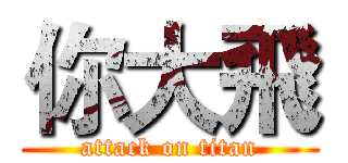 你大飛 (attack on titan)