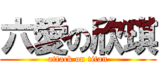六愛の欣琪 (attack on titan)
