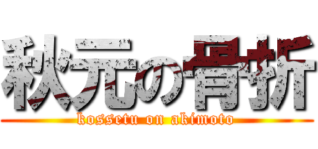 秋元の骨折 (kossetu on akimoto)