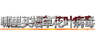 哪里买烟草花叶病毒 (哪里买烟草花叶病毒【电-186x2687x6963-Q278180069元-吉-药-业】我们做的是长期生意,靠的是老客户长期支持 http://sngk.net/DSAJL2
)