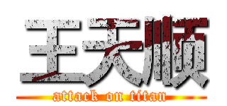 王天顺 (attack on titan)