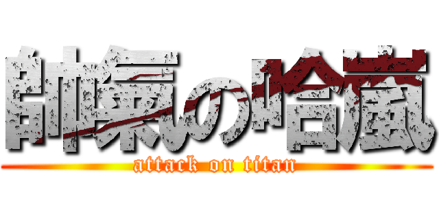 帥氣の哈嵐 (attack on titan)