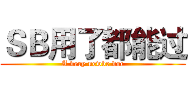 ＳＢ用了都能过 (A very newbe doc)