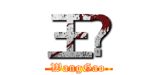 王髙 (WangGao)