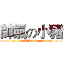 帥氣の小豬 (little pig)