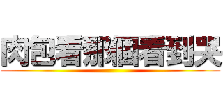 肉包看那個看到哭 ()