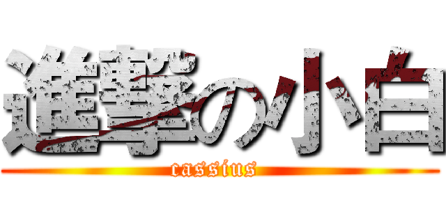 進撃の小白 (cassius )