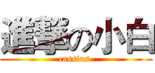 進撃の小白 (cassius )
