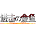 进击の金鱼 (attack on goldfish)