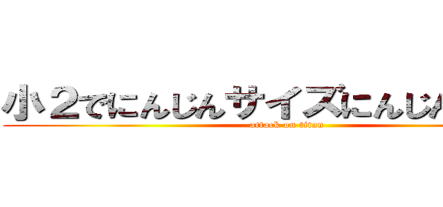 小２でにんじんサイズにんじんサイズ (attack on titan)