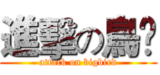 進擊の鳥夶 (attack on bigbird)