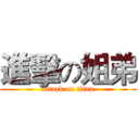 進擊の姐弟 (attack on titan)