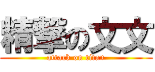 精撃の文文 (attack on titan)