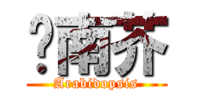 拟南芥 (Arabidopsis)