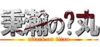 秉瀚の睪丸 (attack on titan)