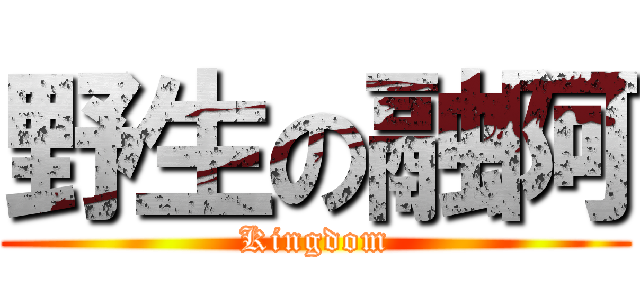 野生の融阿 (Kingdom)