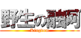 野生の融阿 (Kingdom)