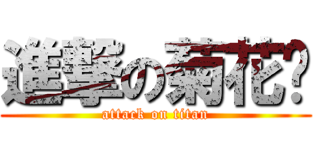 進撃の菊花佬 (attack on titan)