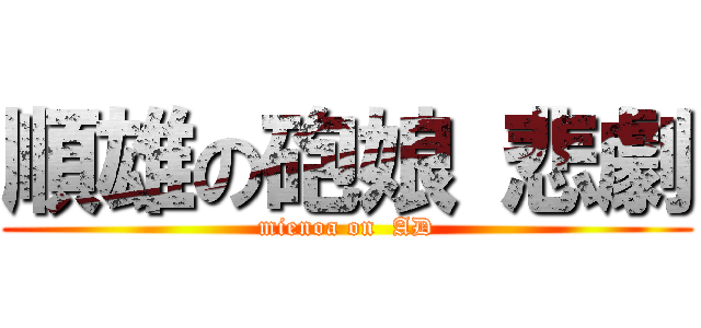 順雄の砲娘 悲劇 (mienoa on  AD)