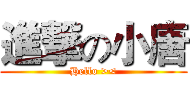 進撃の小唐 (Hello ><)