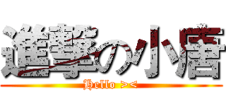 進撃の小唐 (Hello ><)