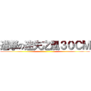 進撃の迷失之風３０ＣＭ ()