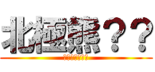 北極熊？？ (到底發生什麼事)