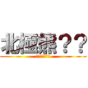 北極熊？？ (到底發生什麼事)