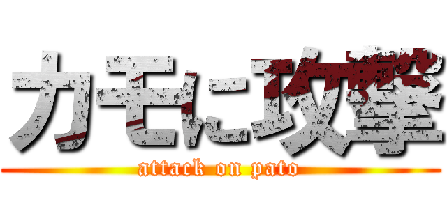 カモに攻撃 (attack on pato)