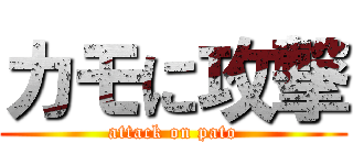 カモに攻撃 (attack on pato)