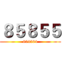 ８５８５５ (654564)