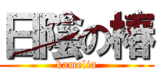日陰の椿 (kamelia)