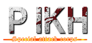 ＰＩＫＨ (Special attack corps)