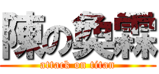 陳の奐霖 (attack on titan)