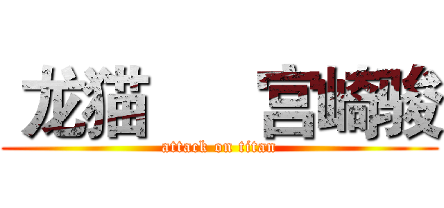  龙猫      宫崎骏 (attack on titan)