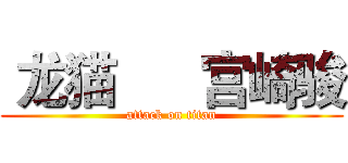  龙猫      宫崎骏 (attack on titan)