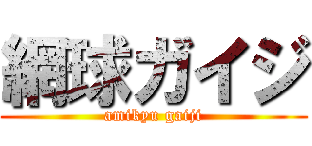 網球ガイジ (amikyu gaiji)
