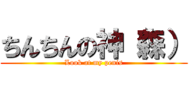 ちんちんの神（森） (Look at my penis)