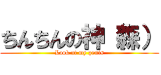 ちんちんの神（森） (Look at my penis)