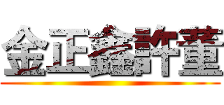 金正鑫許董 ()