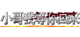 小哥我等你回來 (attack on titan)