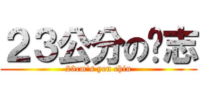 ２３公分の彥志 (23cm\'s yen chin)